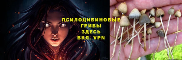 дурь Коряжма