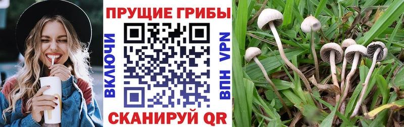 Галлюциногенные грибы прущие грибы Реутов